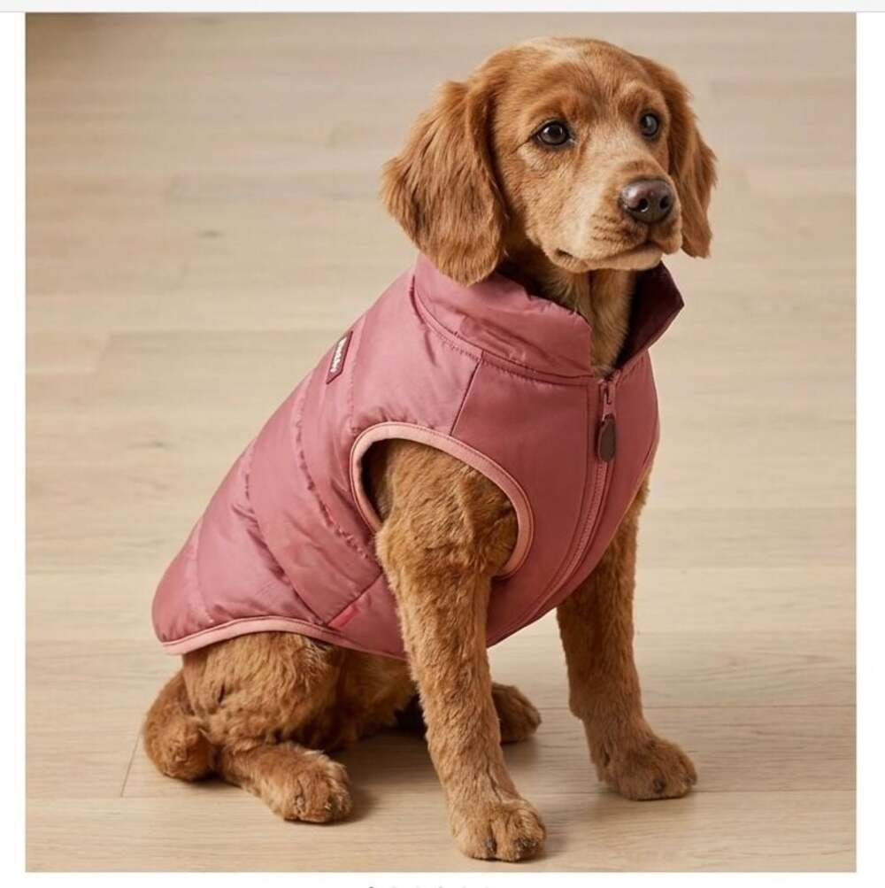 Reddy Dog Puffer Vest Size M